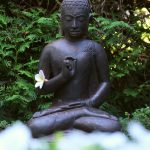 Buddha und die weißen Blumen © Lars Baus 2018