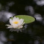 Der Regen beginnt © Lars Baus 2017