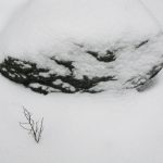 Fels und Zweig im Schnee © Lars Baus 2014