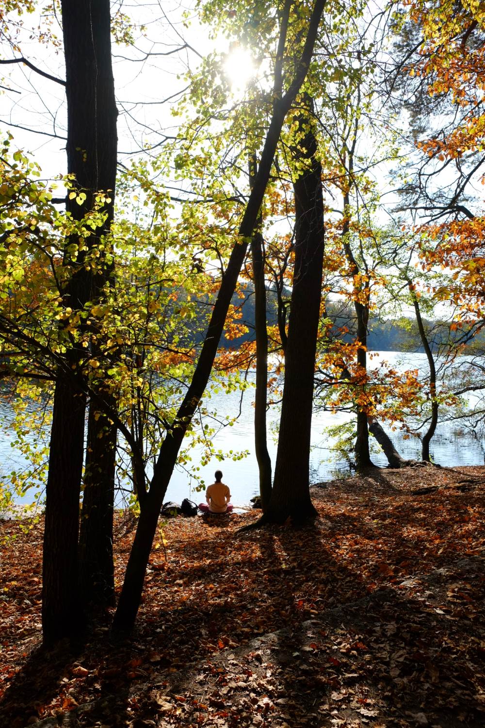 Herbst-Meditation © Lars Baus 2013
