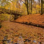 Herbst am Fenn © Lars Baus 2018