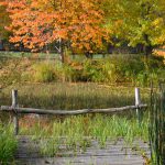 Herbst am Teich © Lars Baus 2015