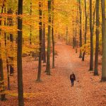 Herbstspaziergang © Lars Baus 2018