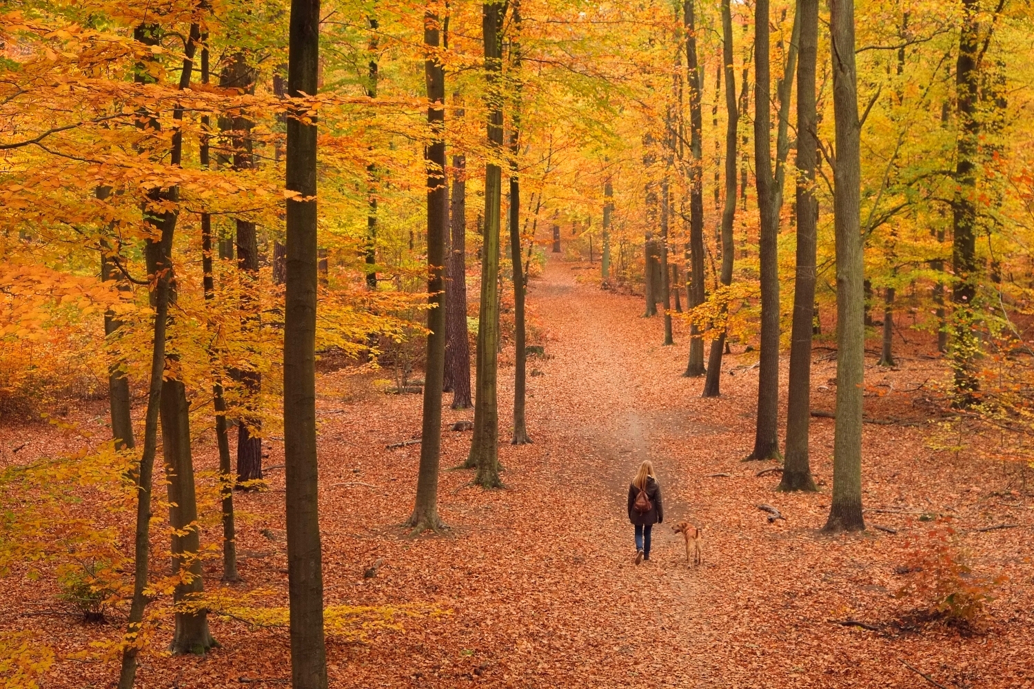 Herbstspaziergang © Lars Baus 2018