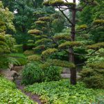 Japanischer Garten © Lars Baus 2017