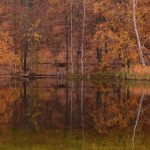 Krumme Lanke im November © Lars Baus 2018