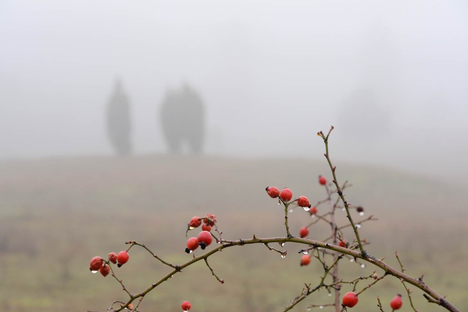 Landschaft im Nebel © Lars Baus 2016