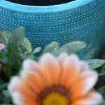 Topf ohne Blume © Lars Baus 2016