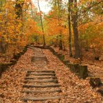 Treppe zum Herbst © Lars Baus 2018