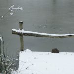 Winter am Teich © Lars Baus 2013